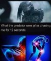 1000011296.jpg