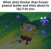1000011292.jpg