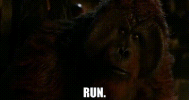 RunMaurice.gif