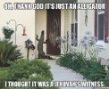 Alligator.jpg