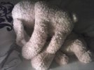 CAM00346.jpg