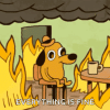 this-is-fine.gif