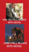 Akitas.jpg