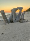 IMG_8243.jpeg