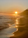 IMG_8281.jpeg