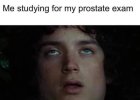 Prostate.jpeg