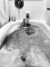 IMG_3123.jpeg