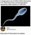 Information.jpg