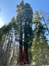 IMG_1757.jpeg