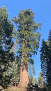 IMG_1708.jpeg