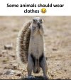 IMG_3510.jpeg