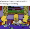Weed.jpeg