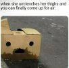 IMG_3526.jpeg