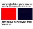 1000037517.jpg