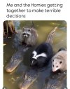 1000037532.jpg