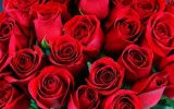i (3).webp