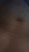 20251009_044441.gif