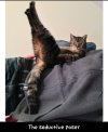 Seductive.jpg