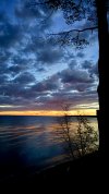 IMG_3679.jpeg