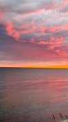 IMG_3690.jpeg