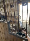 IMG_3691.jpeg