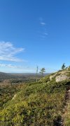 IMG_3713.jpeg