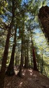 IMG_3938.jpeg