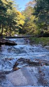 IMG_3777.jpeg