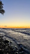 IMG_3808.jpeg