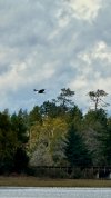 IMG_4050.jpeg