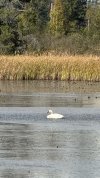 IMG_4027.jpeg