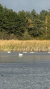 IMG_4025.jpeg