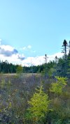 IMG_4059.jpeg