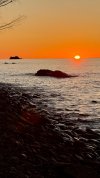 IMG_3908.jpeg