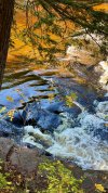 IMG_3961.jpeg