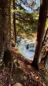 IMG_3960.jpeg