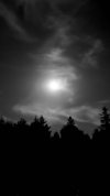 IMG_3630.jpeg