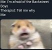Backstreet Boys.jpeg