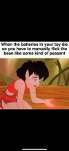 1000041065.jpg