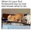 1000041143.jpg