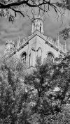 IMG_4173.jpeg