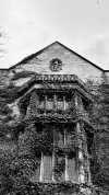 IMG_4179.jpeg