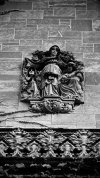IMG_4178.jpeg
