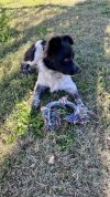 IMG_3247.jpeg