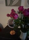 IMG_1908.jpeg