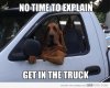 dog in truck.jpg