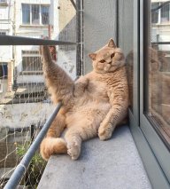 Seduction
