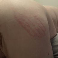 Bbw21dd