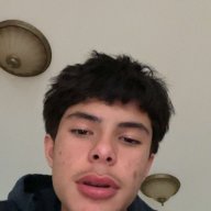 Bradyl6996