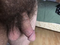 Wildwilly12